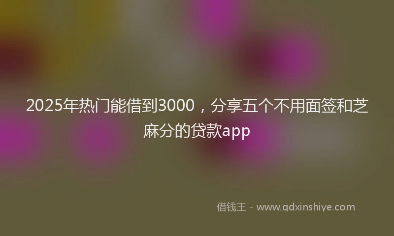 2025年热门能借到3000，分享五个不用面签和芝麻分的贷款app