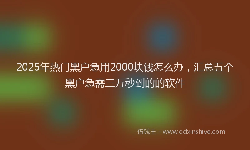 2025年热门黑户急用2000块钱怎么办，汇总五个黑户急需三万秒到的的软件