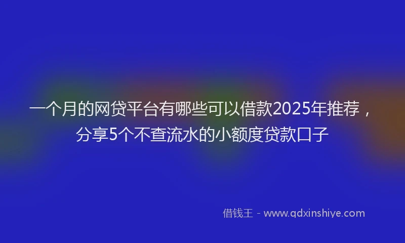 一个月的网贷平台有哪些可以借款2025年推荐，分享5个不查流水的小额度贷款口子