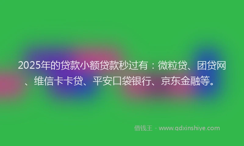 2025年的贷款小额贷款秒过有：微粒贷、团贷网、维信卡卡贷、平安口袋银行、京东金融等。