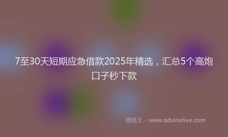 7至30天短期应急借款2025年精选，汇总5个高炮口子秒下款