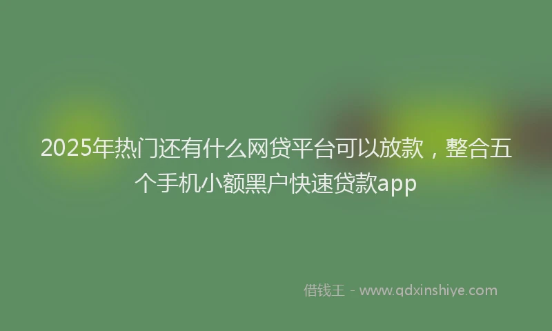2025年热门还有什么网贷平台可以放款，整合五个手机小额黑户快速贷款app