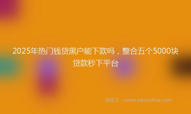2025年热门钱贷黑户能下款吗，整合五个5000块贷款秒下平台