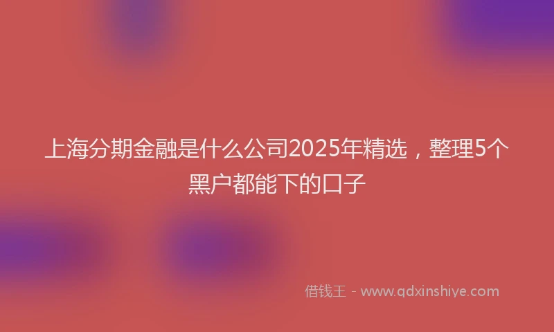 上海分期金融是什么公司2025年精选，整理5个黑户都能下的口子