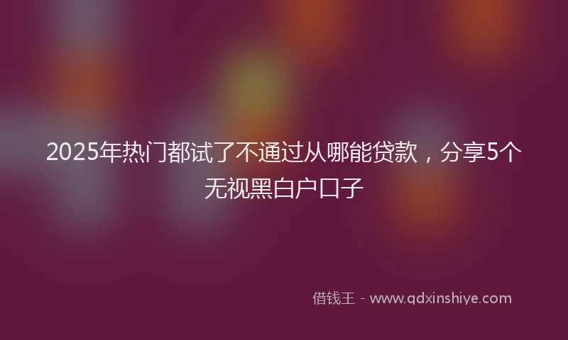 2025年热门都试了不通过从哪能贷款，分享5个无视黑白户口子