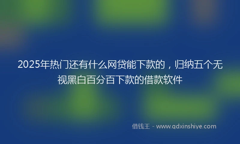 2025年热门还有什么网贷能下款的，归纳五个无视黑白百分百下款的借款软件