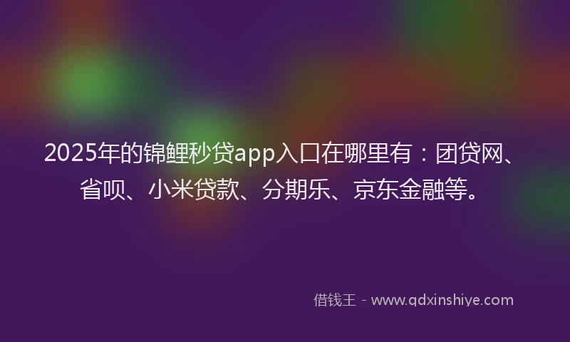 2025年的锦鲤秒贷app入口在哪里有：团贷网、省呗、小米贷款、分期乐、京东金融等。