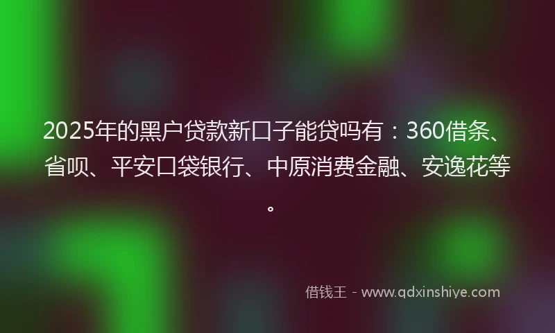 2025年的黑户贷款新口子能贷吗有：360借条、省呗、平安口袋银行、中原消费金融、安逸花等。