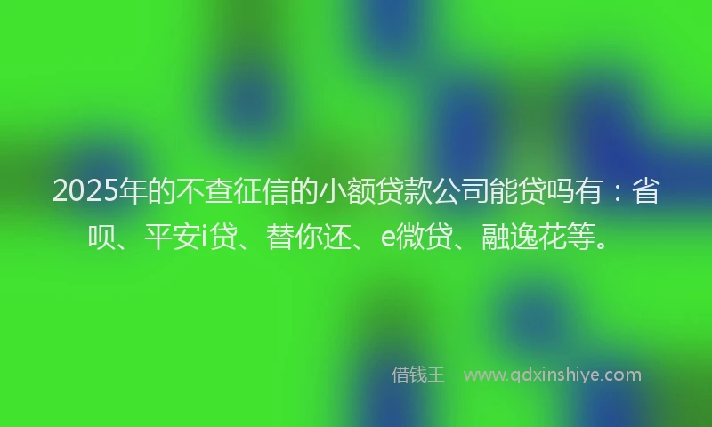 2025年的不查征信的小额贷款公司能贷吗有：省呗、平安i贷、替你还、e微贷、融逸花等。