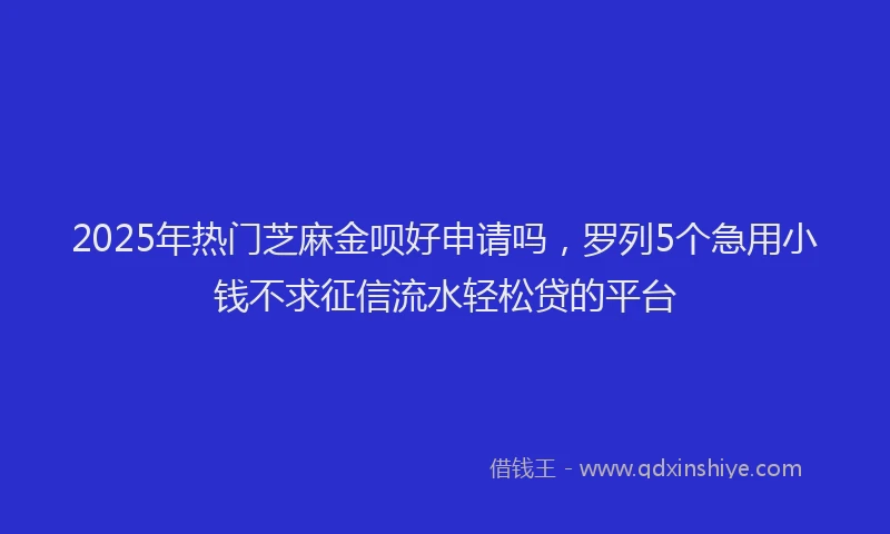 2025年热门芝麻金呗好申请吗，罗列5个急用小钱不求征信流水轻松贷的平台