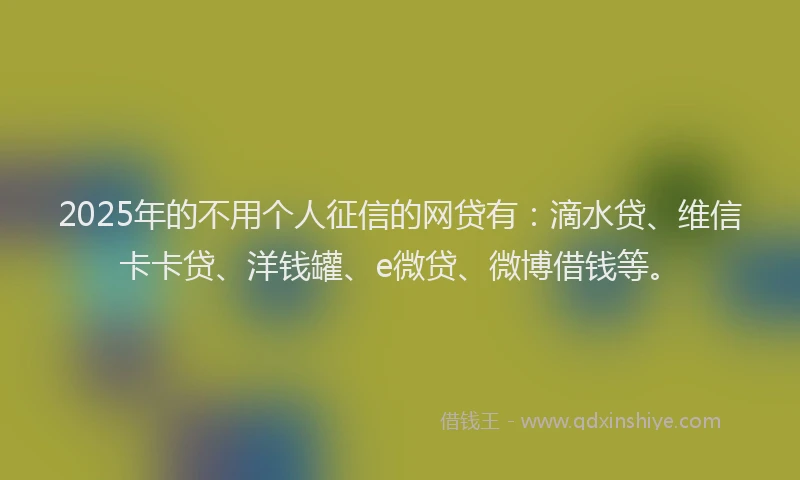 2025年的不用个人征信的网贷有：滴水贷、维信卡卡贷、洋钱罐、e微贷、微博借钱等。