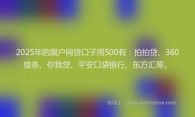 2025年的黑户网贷口子用500有：拍拍贷、360借条、你我贷、平安口袋银行、东方汇等。