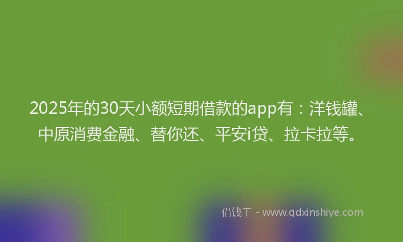 2025年的30天小额短期借款的app有：洋钱罐、中原消费金融、替你还、平安i贷、拉卡拉等。