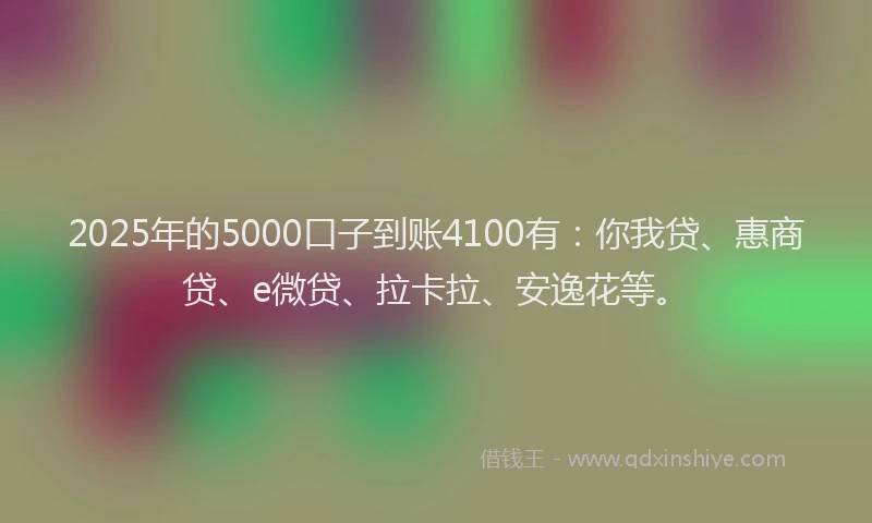 2025年的5000口子到账4100有：你我贷、惠商贷、e微贷、拉卡拉、安逸花等。