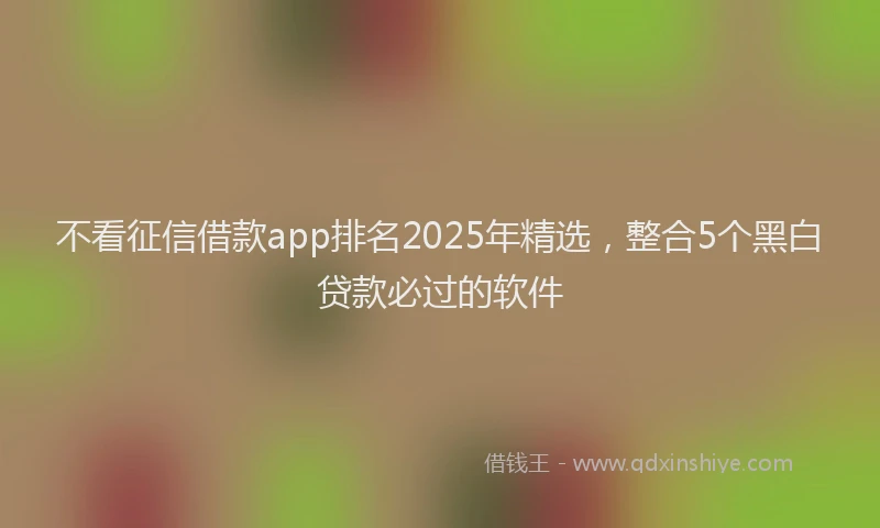 不看征信借款app排名2025年精选，整合5个黑白贷款必过的软件