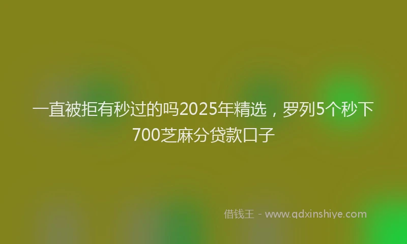一直被拒有秒过的吗2025年精选，罗列5个秒下700芝麻分贷款口子