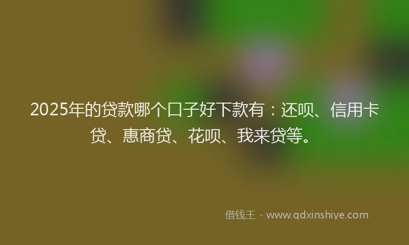 2025年的贷款哪个口子好下款有：还呗、信用卡贷、惠商贷、花呗、我来贷等。