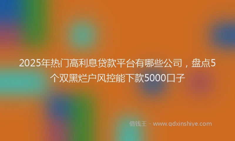 2025年热门高利息贷款平台有哪些公司，盘点5个双黑烂户风控能下款5000口子