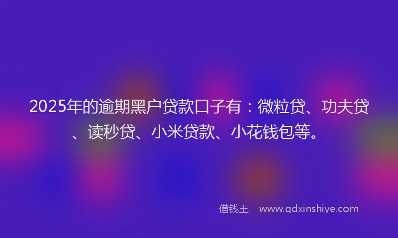 2025年的逾期黑户贷款口子有：微粒贷、功夫贷、读秒贷、小米贷款、小花钱包等。