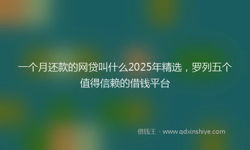 一个月还款的网贷叫什么2025年精选，罗列五个值得信赖的借钱平台