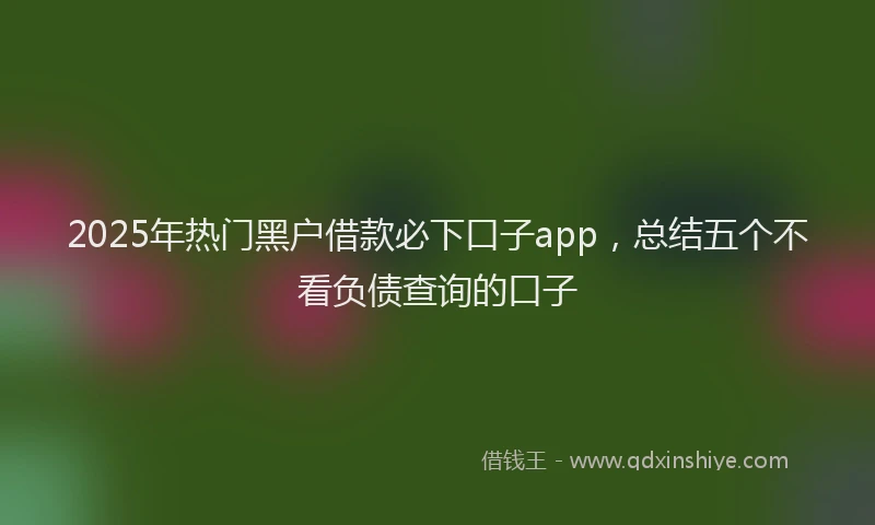 2025年热门黑户借款必下口子app，总结五个不看负债查询的口子