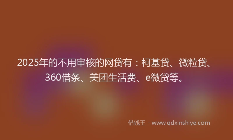 2025年的不用审核的网贷有：柯基贷、微粒贷、360借条、美团生活费、e微贷等。