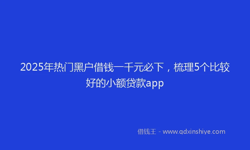 2025年热门黑户借钱一千元必下，梳理5个比较好的小额贷款app