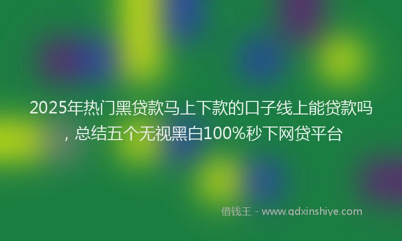 2025年热门黑贷款马上下款的口子线上能贷款吗，总结五个无视黑白100%秒下网贷平台