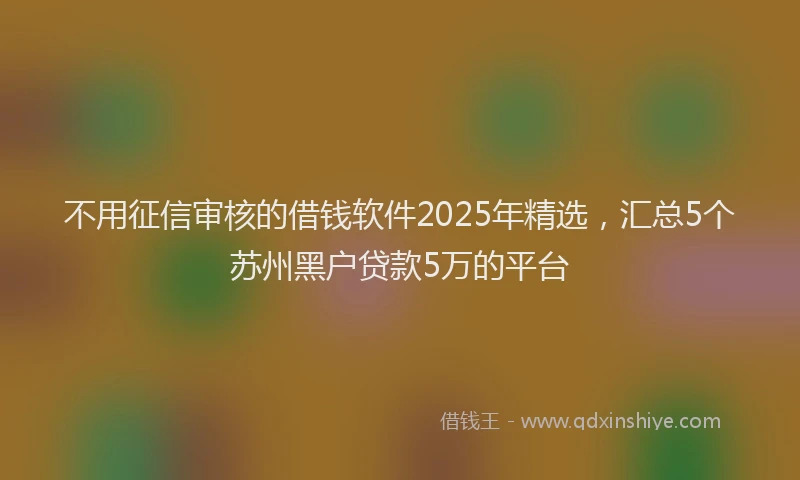 不用征信审核的借钱软件2025年精选，汇总5个苏州黑户贷款5万的平台