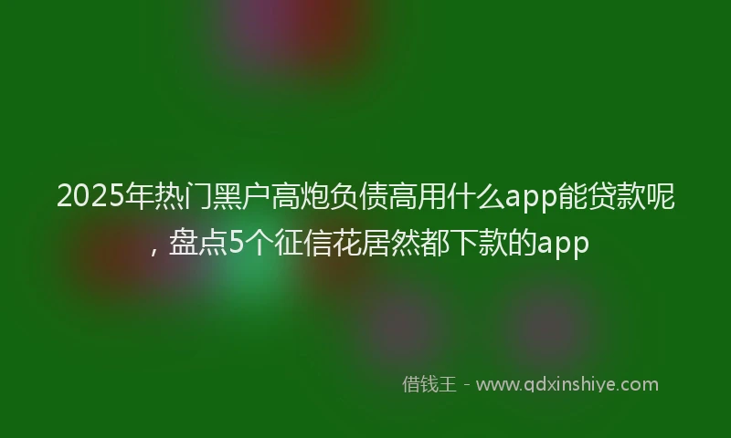 2025年热门黑户高炮负债高用什么app能贷款呢，盘点5个征信花居然都下款的app