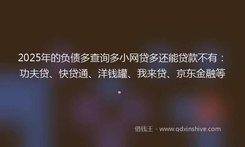 2025年的负债多查询多小网贷多还能贷款不有：功夫贷、快贷通、洋钱罐、我来贷、京东金融等。