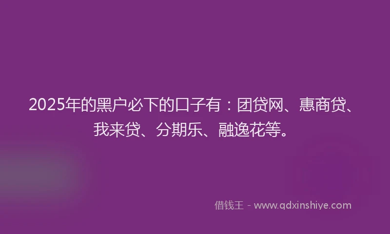 2025年的黑户必下的口子有：团贷网、惠商贷、我来贷、分期乐、融逸花等。