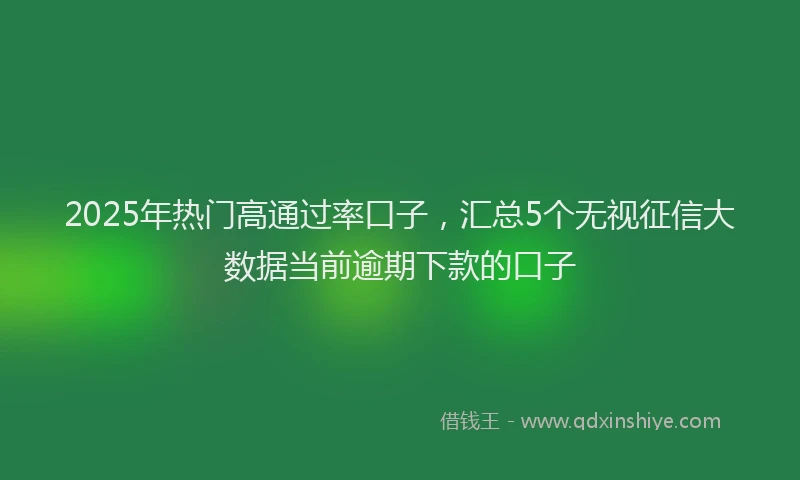 2025年热门高通过率口子，汇总5个无视征信大数据当前逾期下款的口子