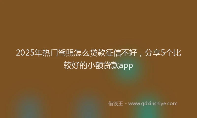 2025年热门驾照怎么贷款征信不好，分享5个比较好的小额贷款app