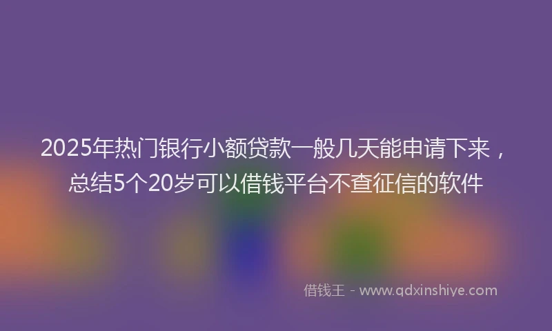2025年热门银行小额贷款一般几天能申请下来，总结5个20岁可以借钱平台不查征信的软件