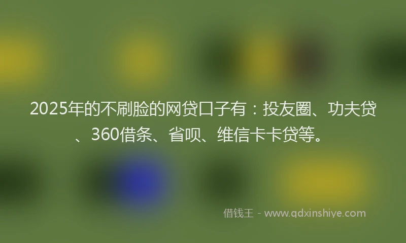 2025年的不刷脸的网贷口子有：投友圈、功夫贷、360借条、省呗、维信卡卡贷等。