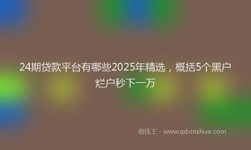 24期贷款平台有哪些2025年精选，概括5个黑户烂户秒下一万
