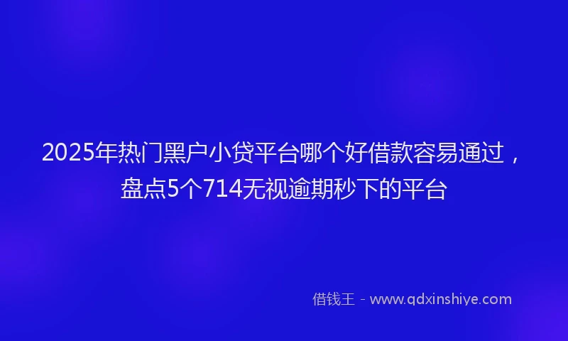 2025年热门黑户小贷平台哪个好借款容易通过，盘点5个714无视逾期秒下的平台