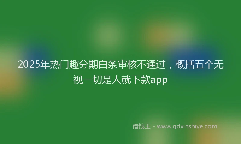 2025年热门趣分期白条审核不通过，概括五个无视一切是人就下款app