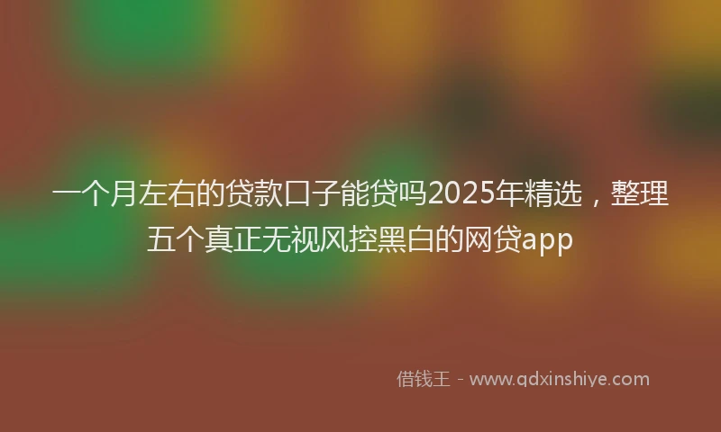 一个月左右的贷款口子能贷吗2025年精选，整理五个真正无视风控黑白的网贷app