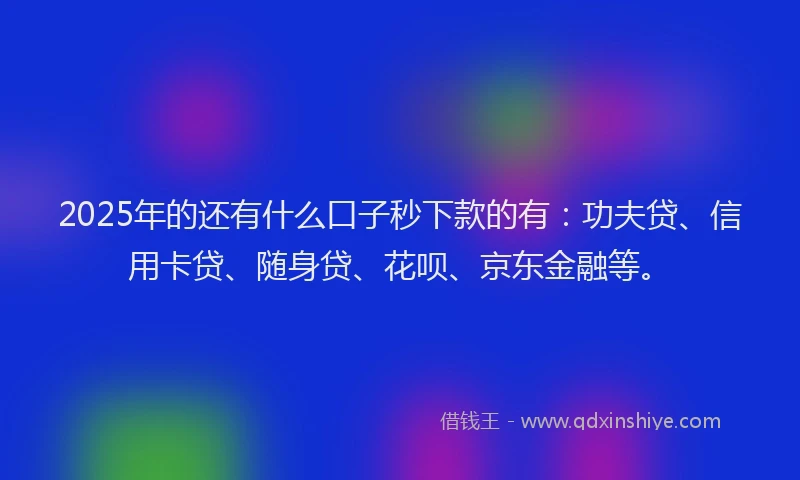 2025年的还有什么口子秒下款的有：功夫贷、信用卡贷、随身贷、花呗、京东金融等。
