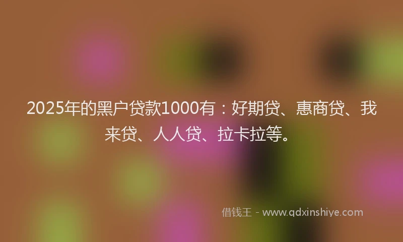 2025年的黑户贷款1000有：好期贷、惠商贷、我来贷、人人贷、拉卡拉等。