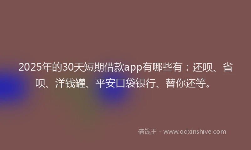 2025年的30天短期借款app有哪些有：还呗、省呗、洋钱罐、平安口袋银行、替你还等。