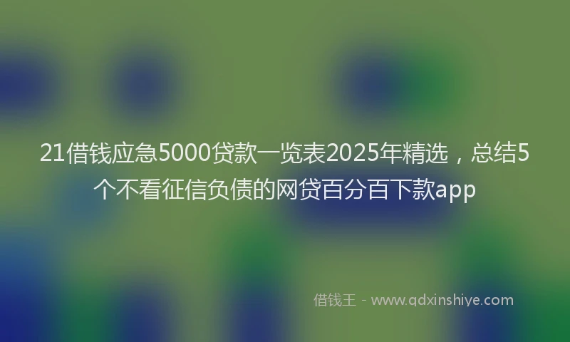 21借钱应急5000贷款一览表2025年精选，总结5个不看征信负债的网贷百分百下款app