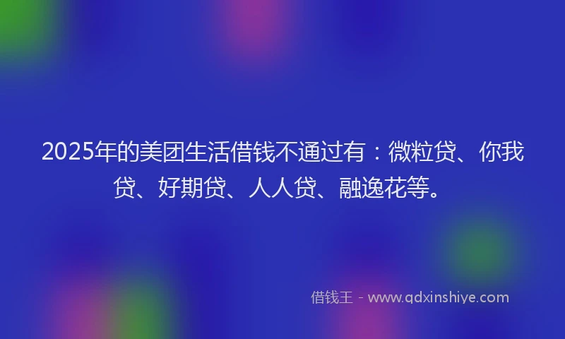 2025年的美团生活借钱不通过有：微粒贷、你我贷、好期贷、人人贷、融逸花等。