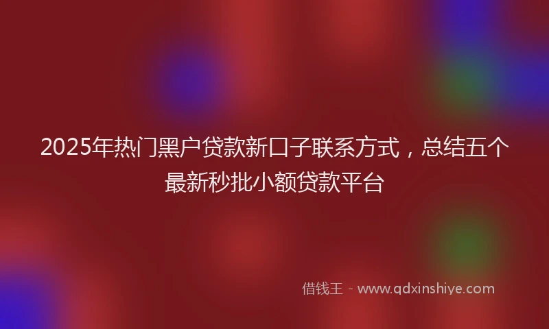 2025年热门黑户贷款新口子联系方式，总结五个最新秒批小额贷款平台