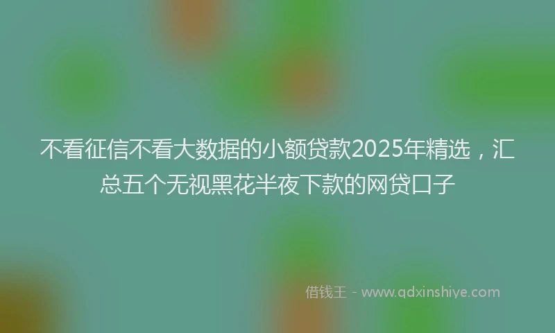 不看征信不看大数据的小额贷款2025年精选，汇总五个无视黑花半夜下款的网贷口子