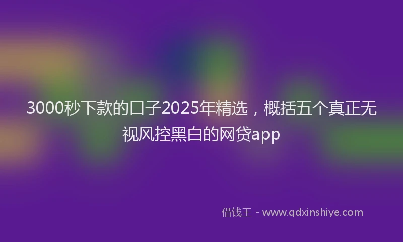 3000秒下款的口子2025年精选，概括五个真正无视风控黑白的网贷app