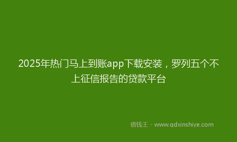 2025年热门马上到账app下载安装，罗列五个不上征信报告的贷款平台