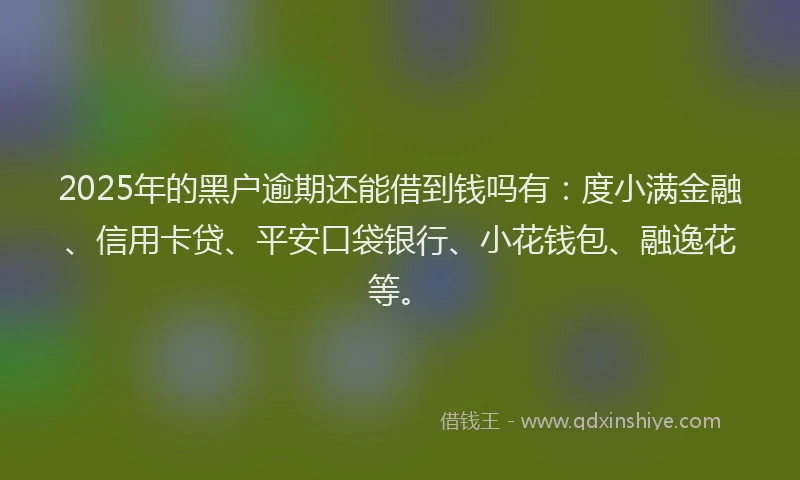 2025年的黑户逾期还能借到钱吗有：度小满金融、信用卡贷、平安口袋银行、小花钱包、融逸花等。
